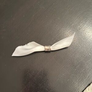 Silver Pandora clip charm